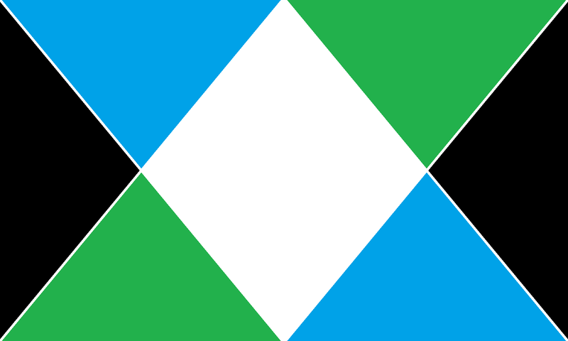 Illustration for article titled Here are some flags I made in MS Paint